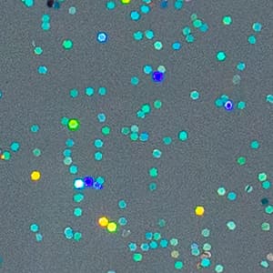 Rainbow (large) finish sample